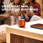 Mini enceinte Bluetooth design galet aluminium — recharge Qi/USB-C, TWS stéréo, micro mains-libres