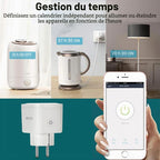 Prise WiFi intelligente app Smart Life Tuya suivi consommation énergie