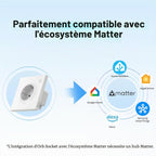 Prise murale intelligente Matter WiFi Type F Shuko compatible Alexa