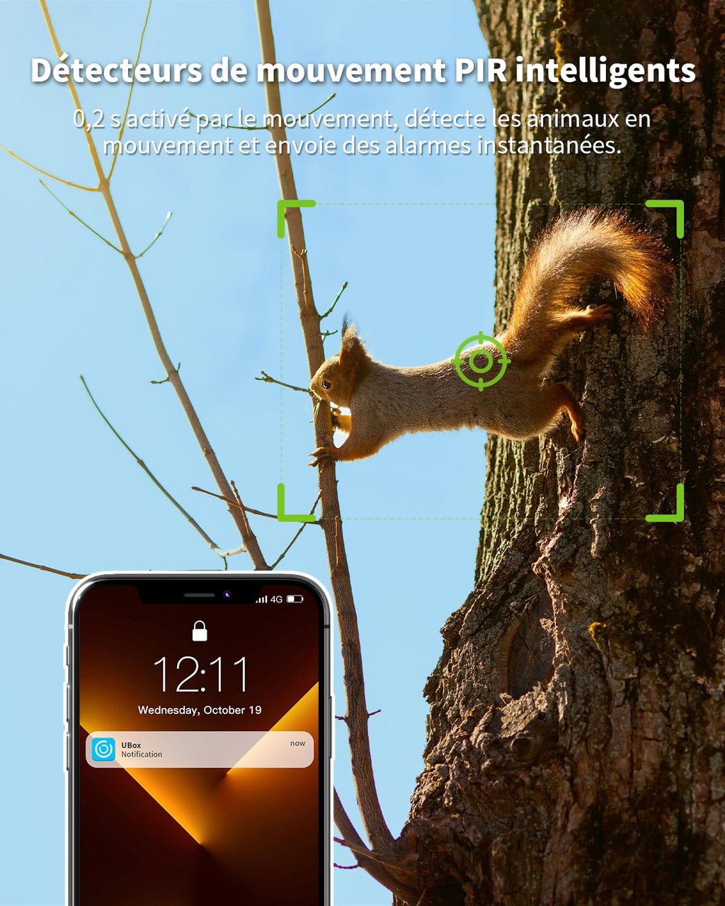 Caméra 4G solaire avec carte SIM — sans WiFi, surveillance 360°, détection animaux, vidéo en direct mobile