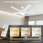 Ventilateur de plafond 152 cm blanc/bois LED — silencieux, 6 vitesses — vue 3
