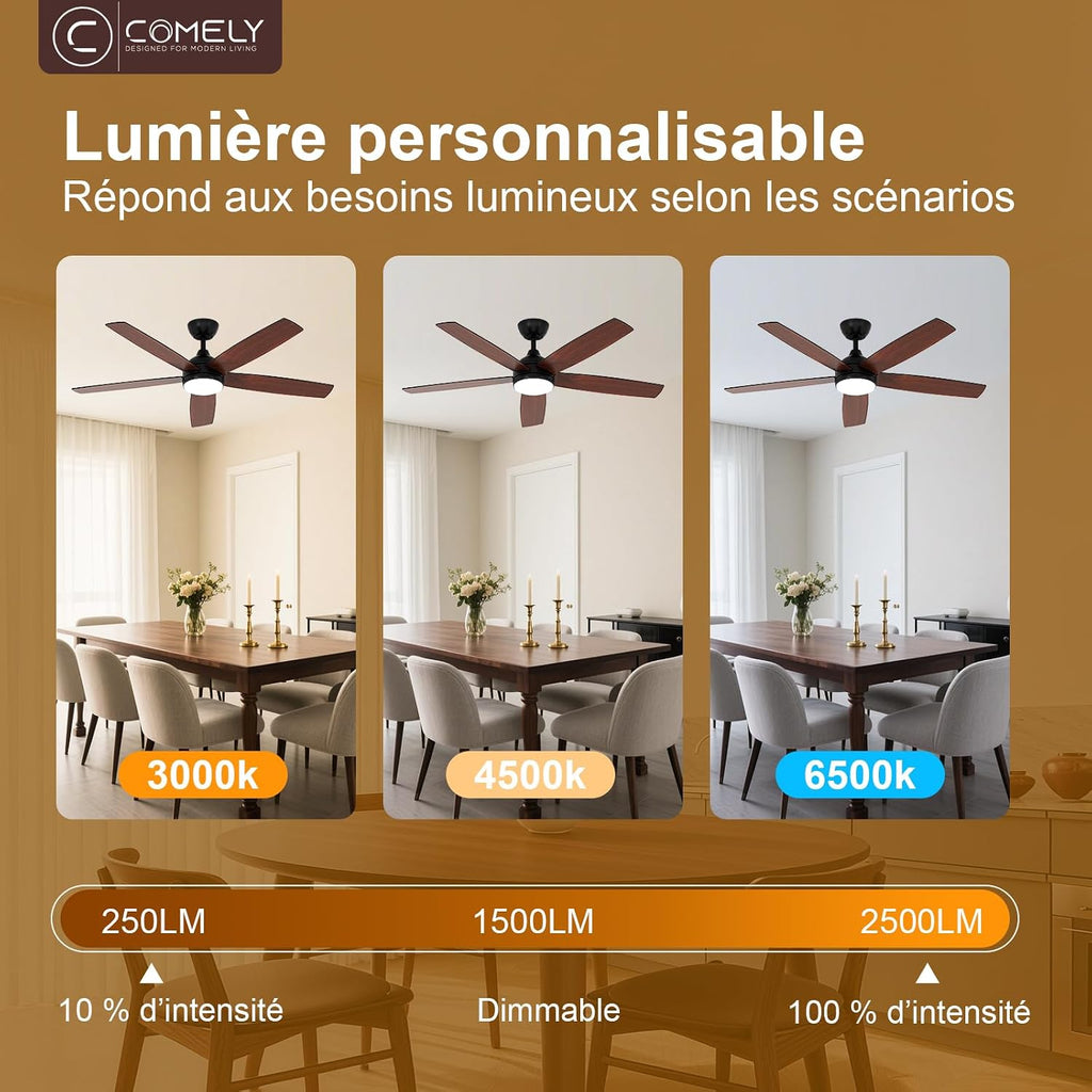 Ventilateur de plafond 132 cm LED — moteur DC silencieux été/hiver — vue 2