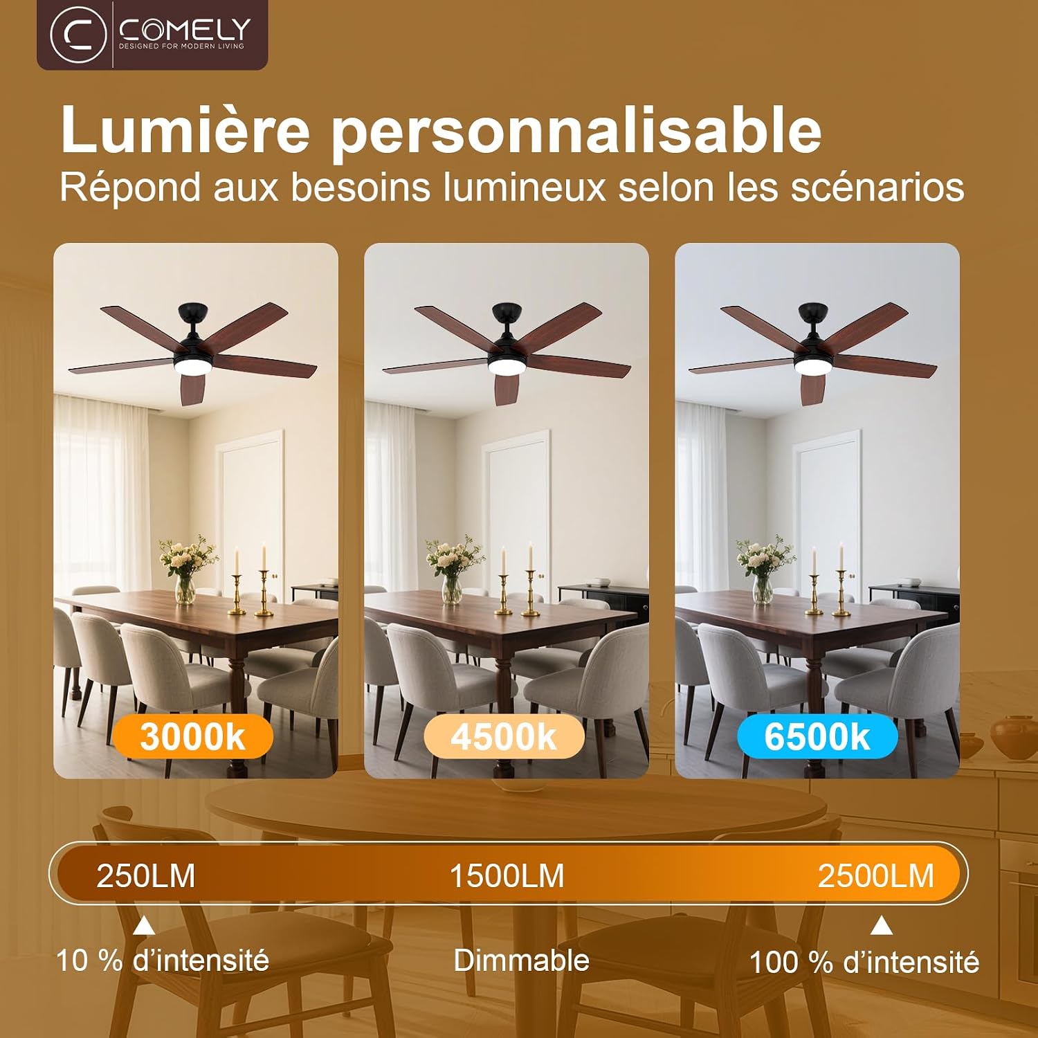 Ventilateur de plafond 132 cm LED — moteur DC silencieux été/hiver — vue 2