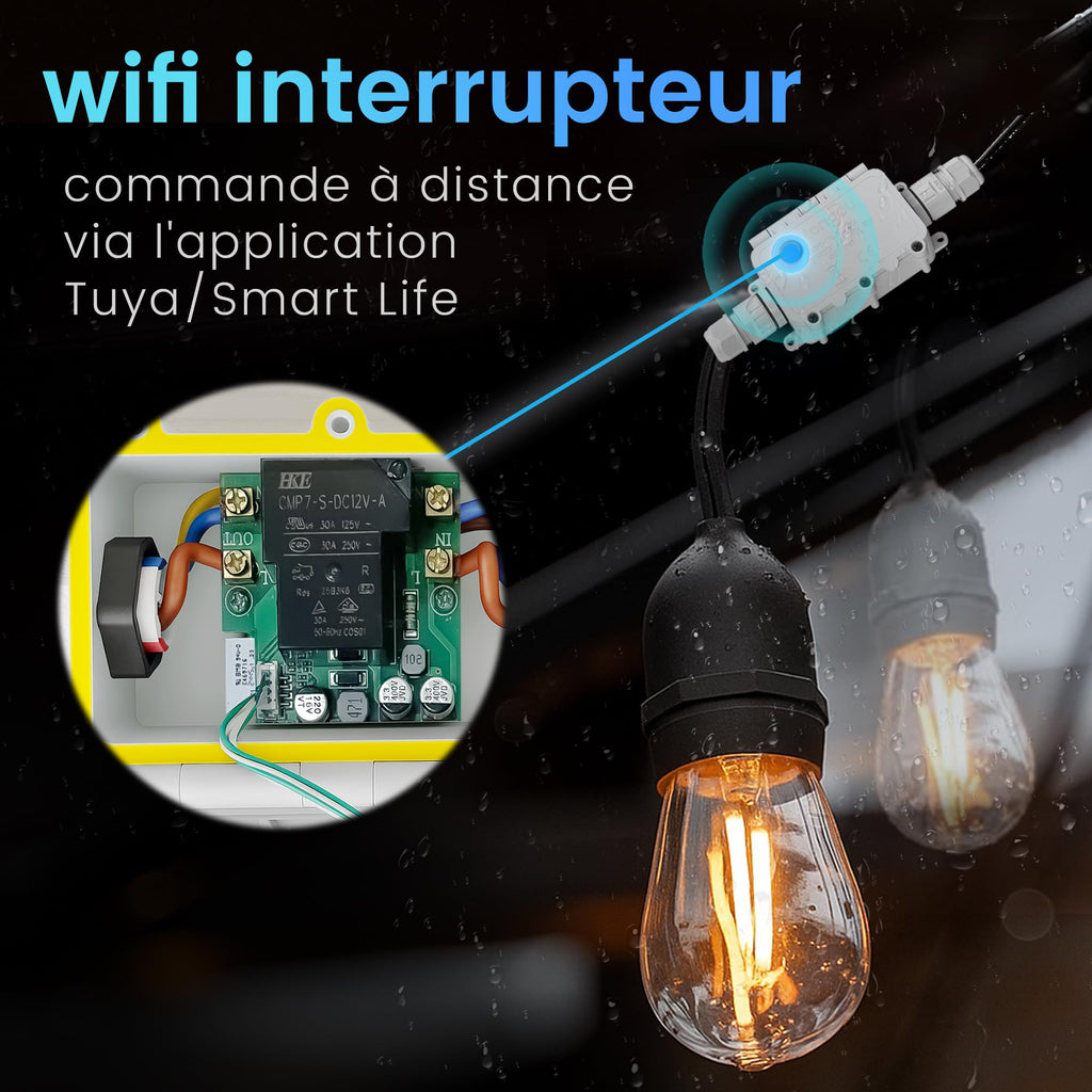 Interrupteur intelligent WiFi 16A télécommande vocale IP67 extérieur