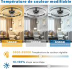 Ventilateur de plafond LED 50 cm noir — télécommande et appli, dimmable — vue 2